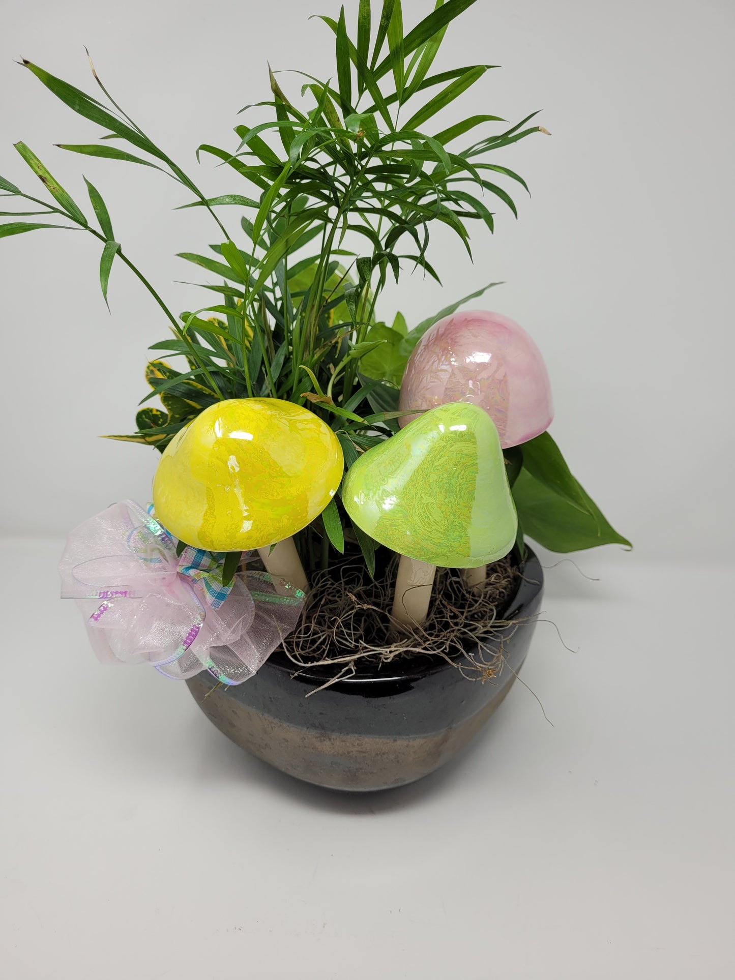 Garden Mushroom