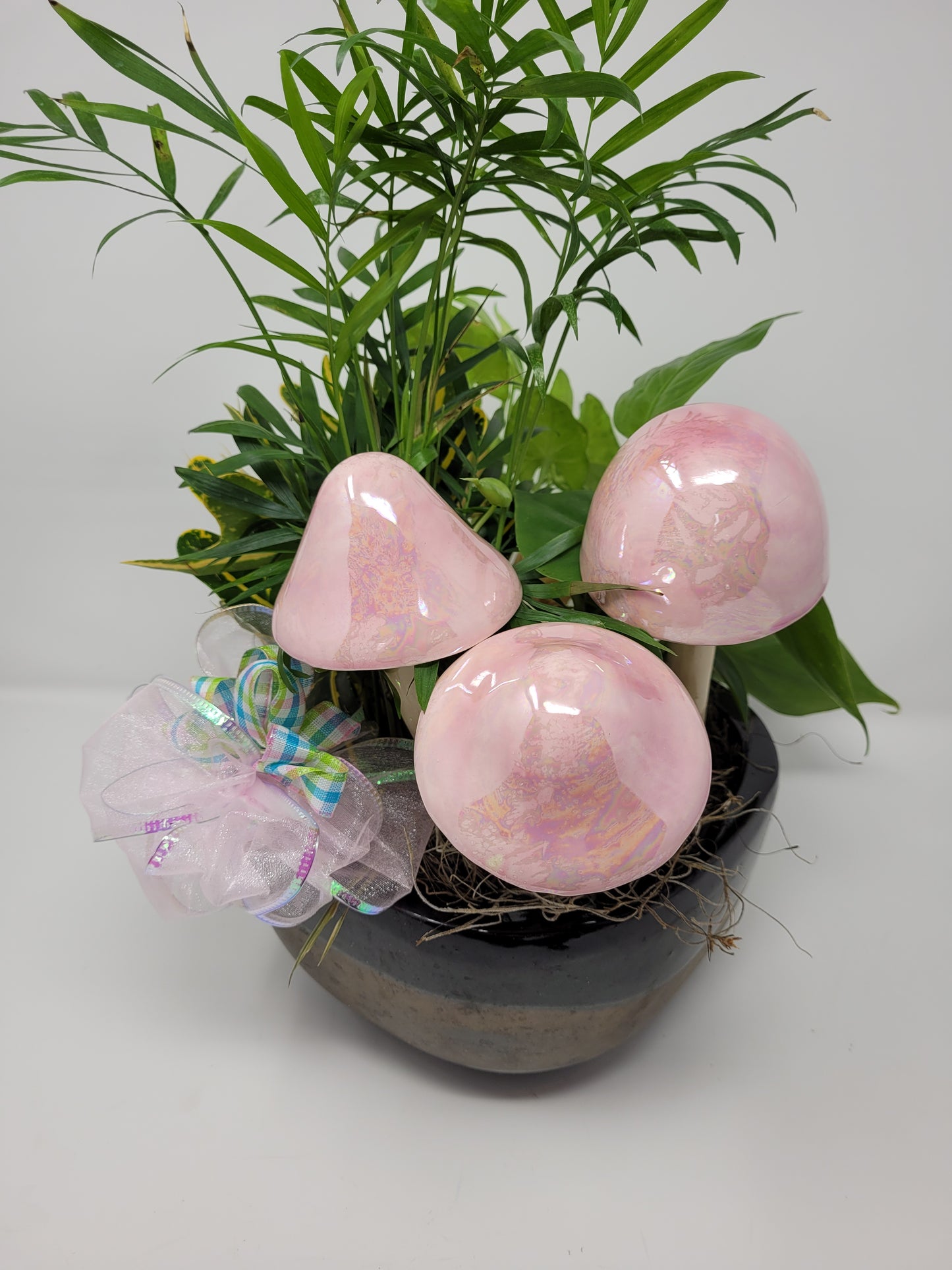 Garden Mushroom