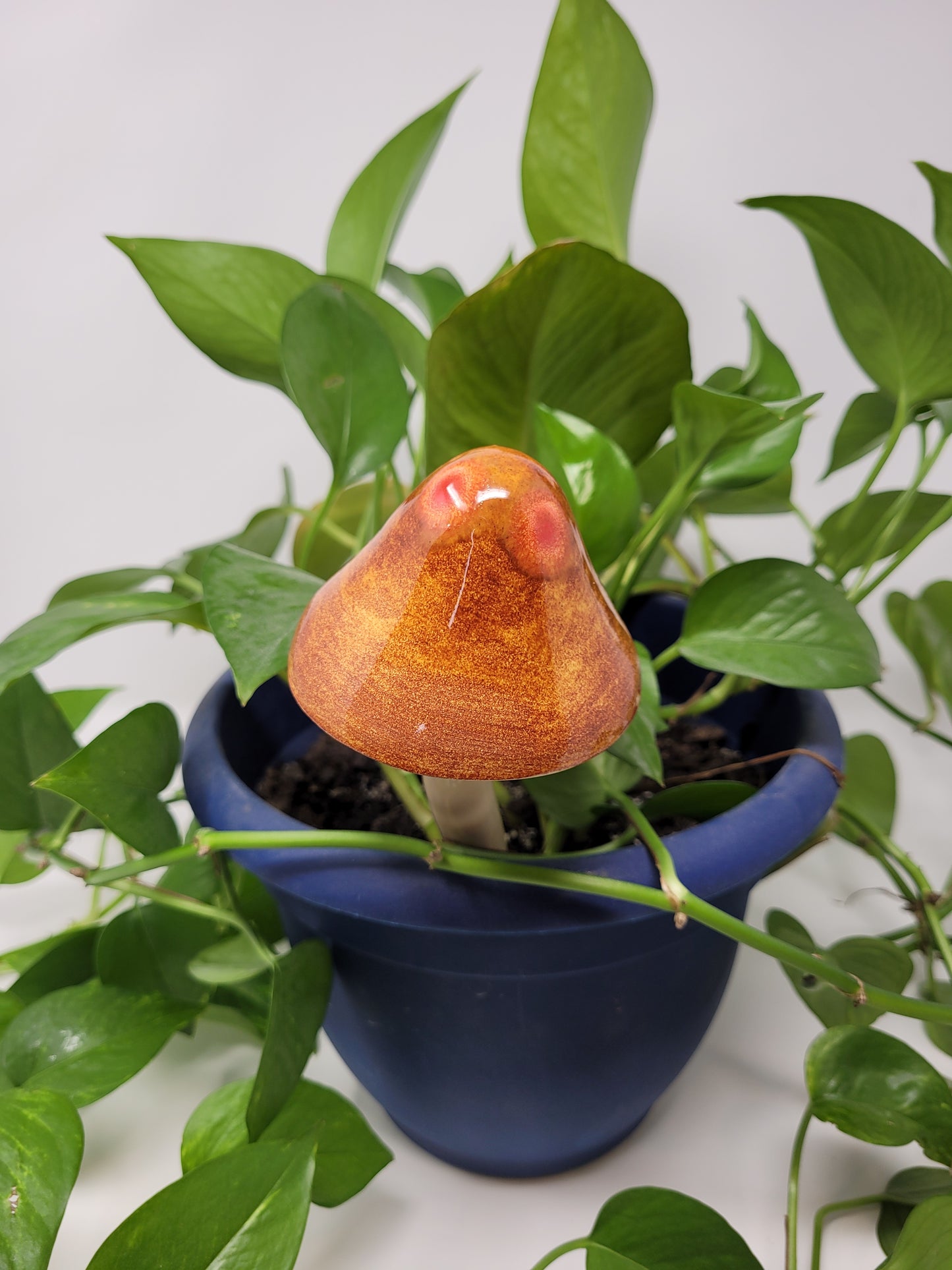 Garden Mushroom
