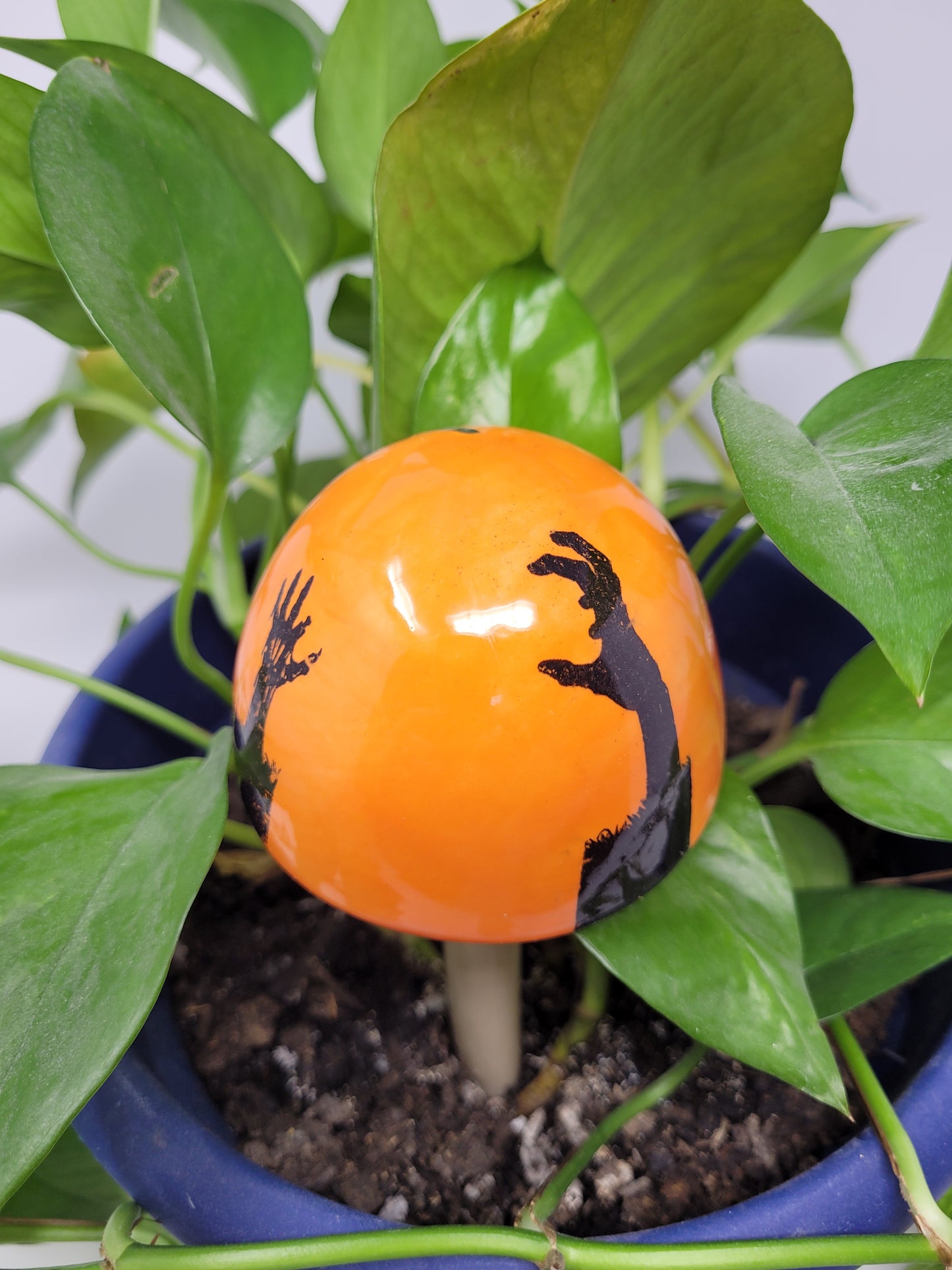 Garden Mushroom