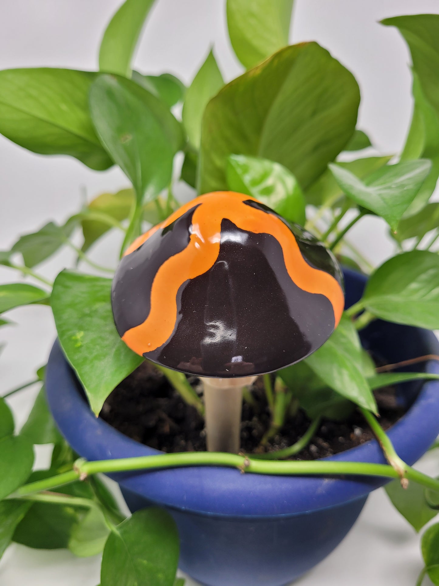 Garden Mushroom