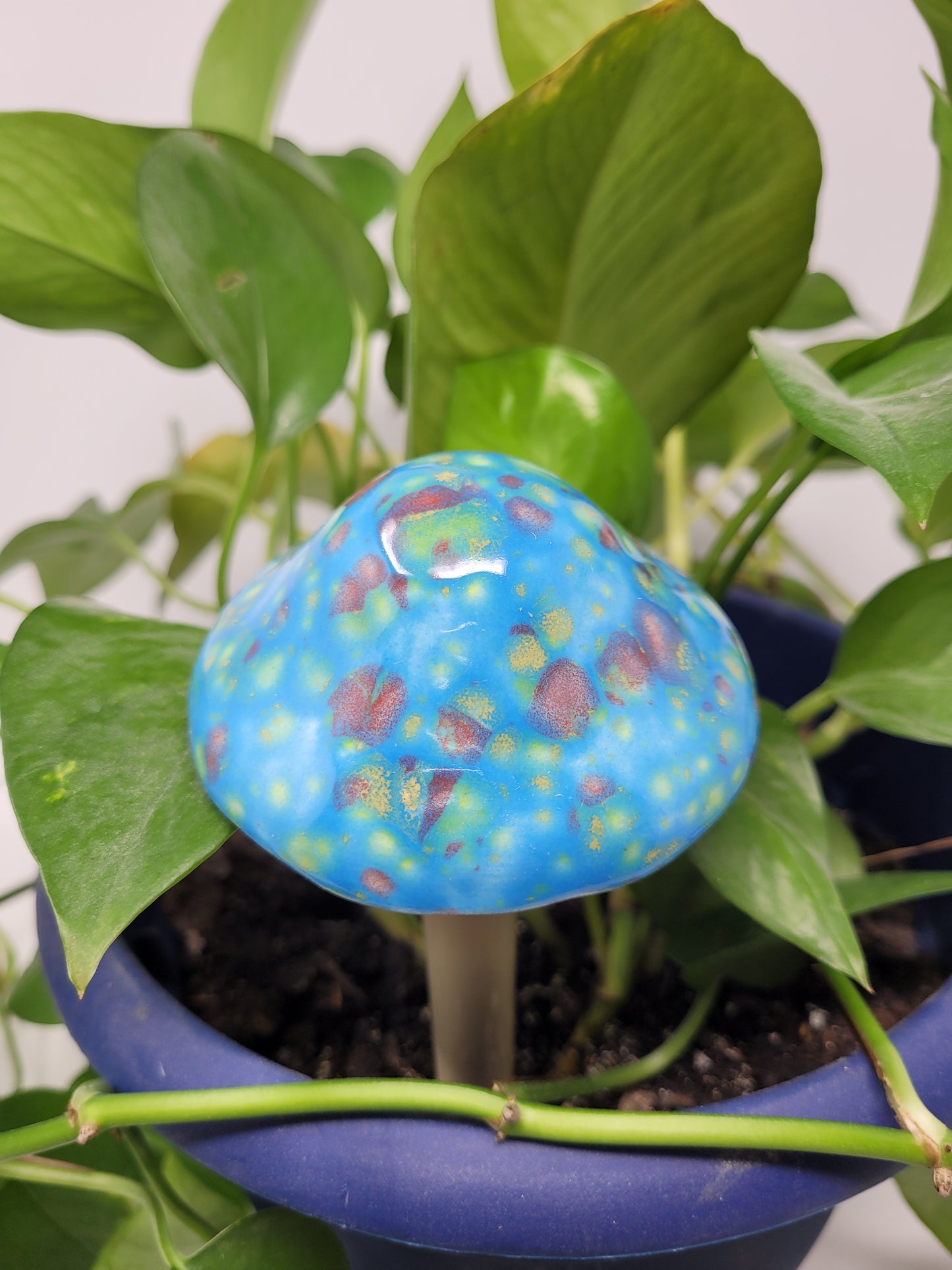 Garden Mushroom