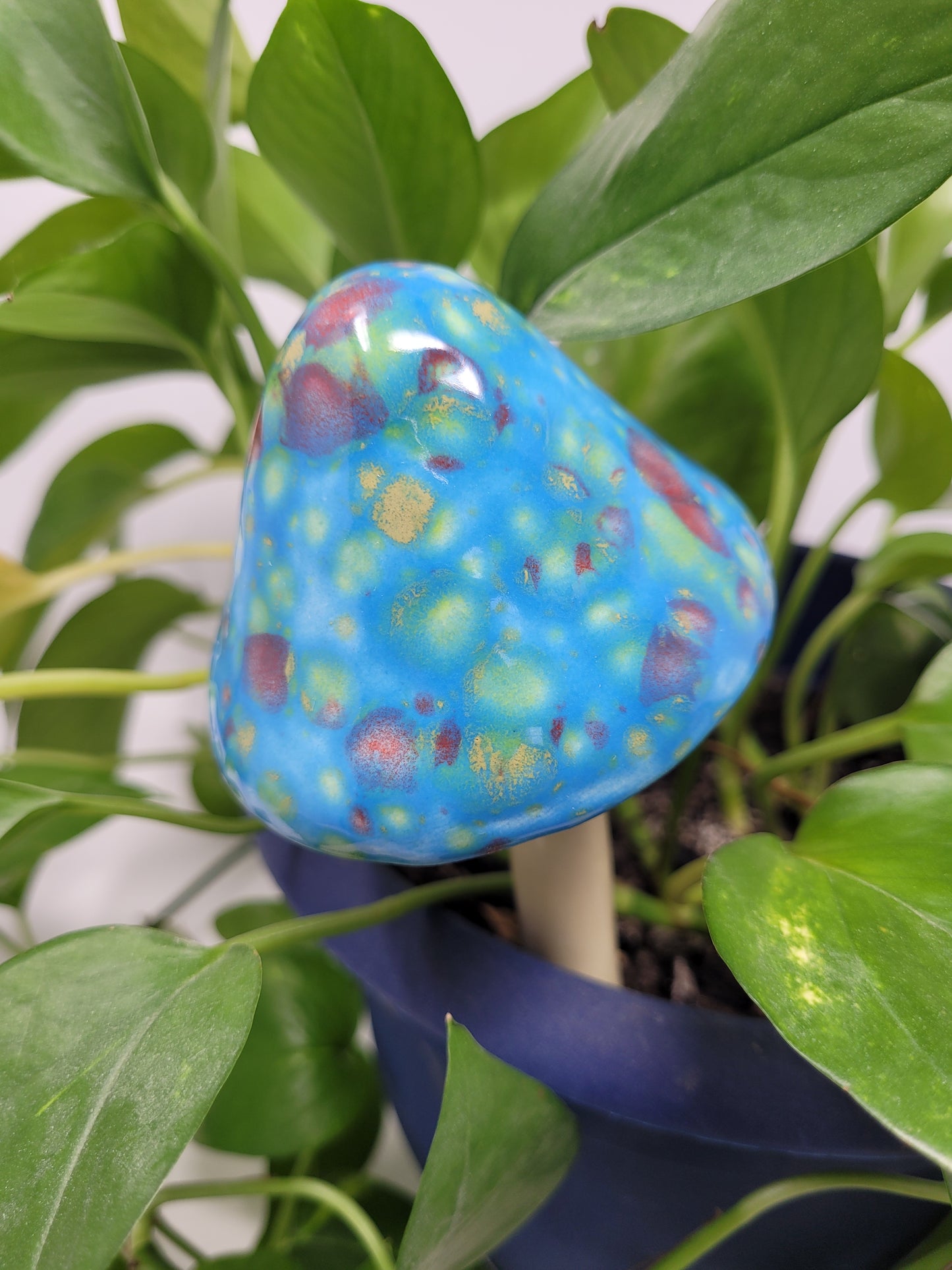 Garden Mushroom