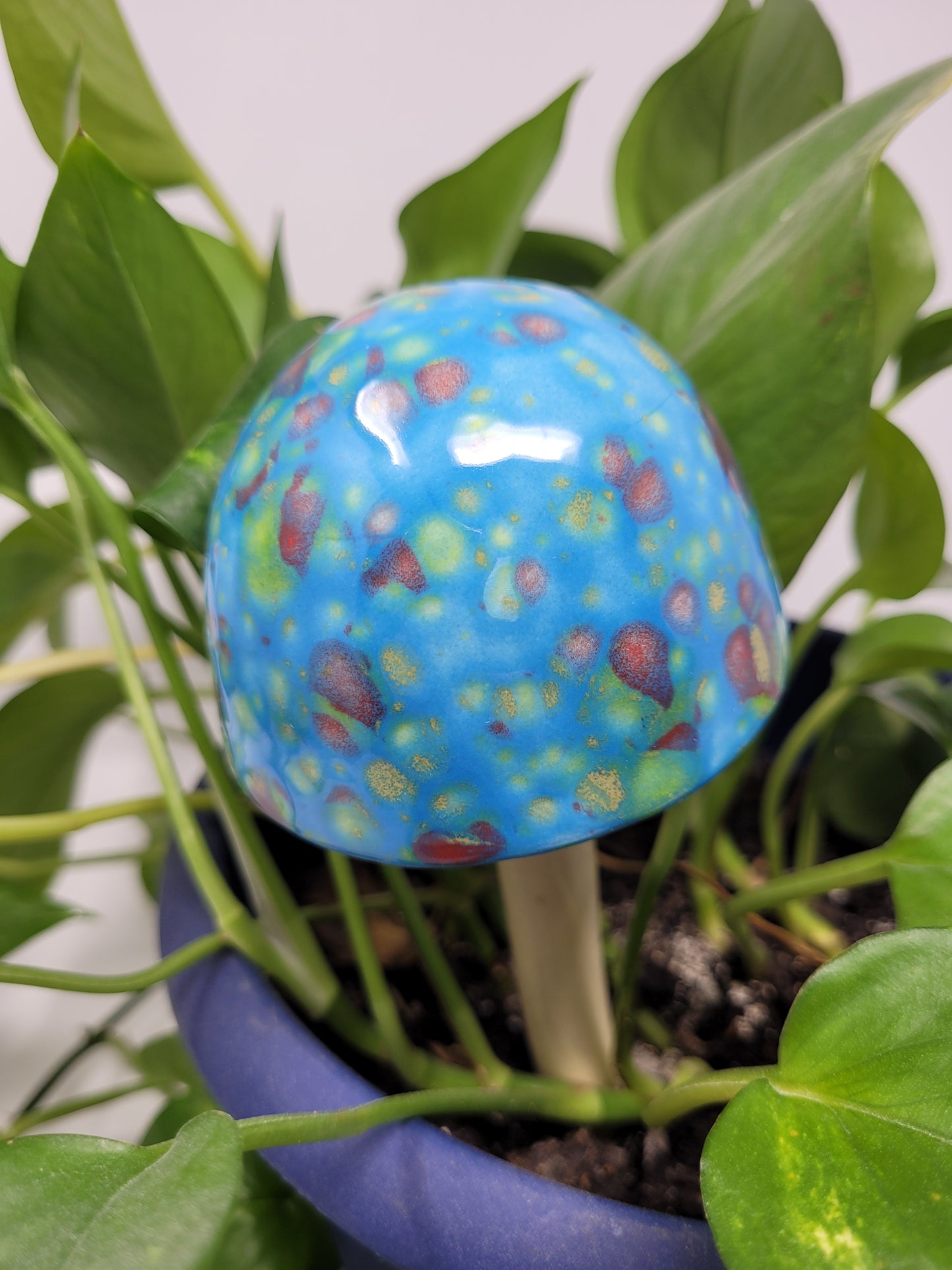 Garden Mushroom