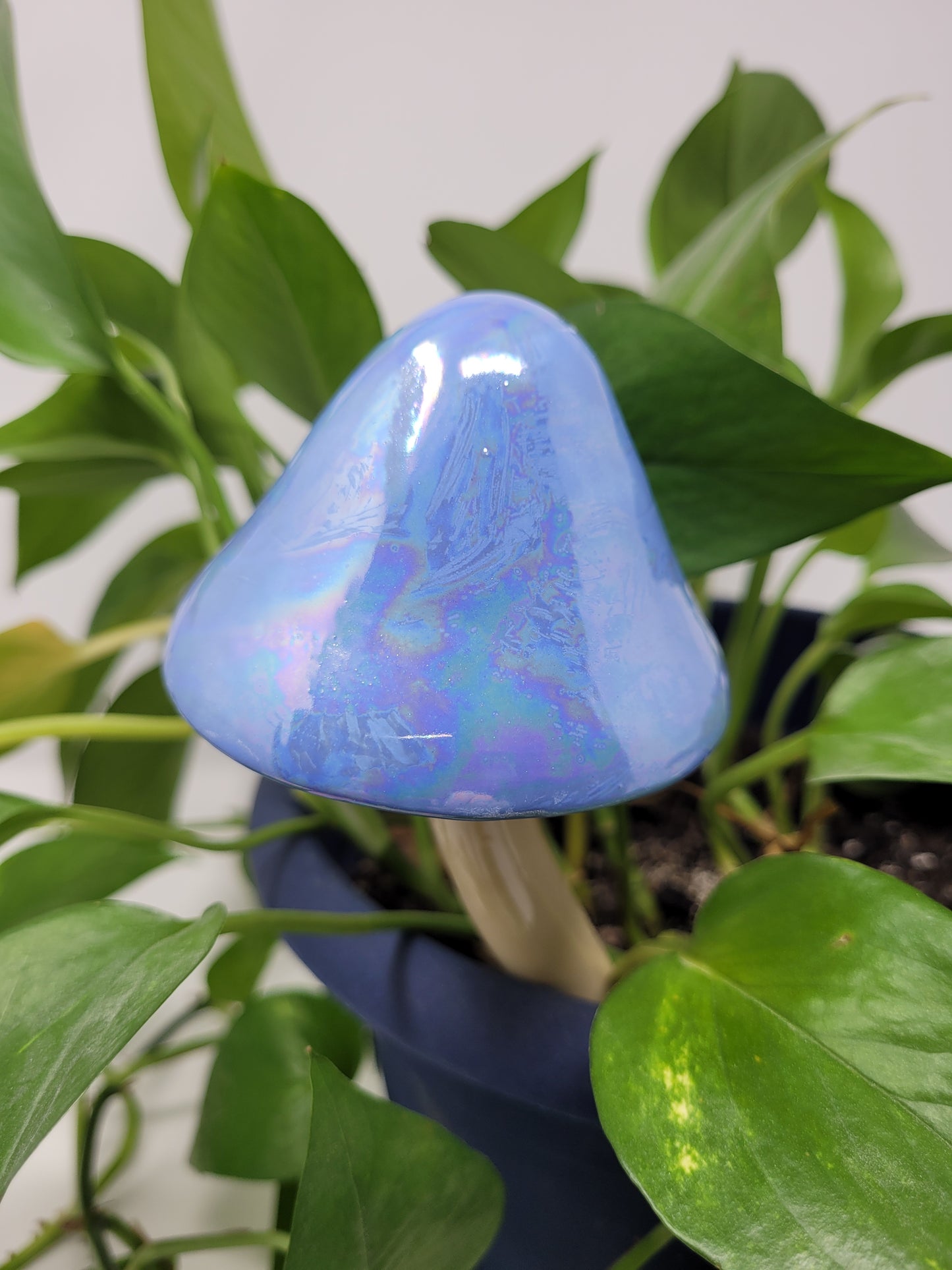 Garden Mushroom