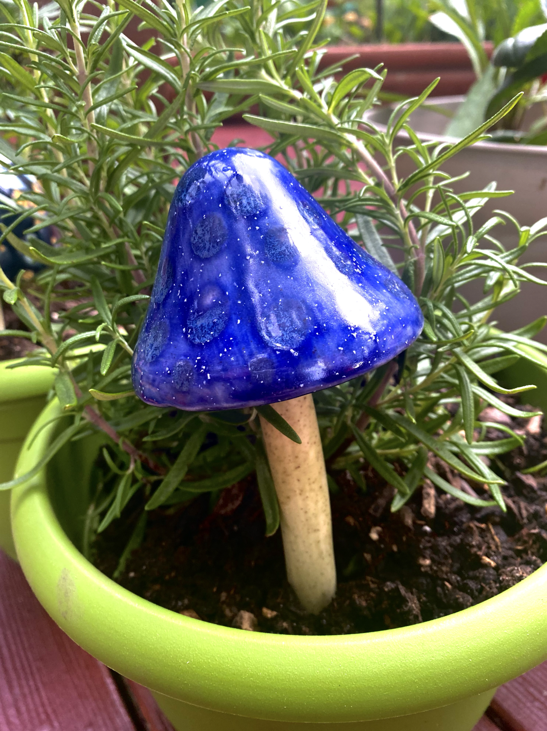 Garden Mushroom